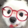 http://thirdqq.qlogo.cn/qqapp/101260148/18C4E6602A675A59602361B429069AEA/100