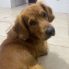 http://thirdqq.qlogo.cn/qqapp/101260148/2D5C0D864D219A0DB4B28A7232940E07/100