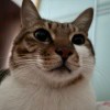 http://thirdqq.qlogo.cn/qqapp/101260148/412F7C10A4F747FB9FD64C681FB4335B/100