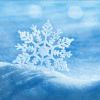 http://thirdqq.qlogo.cn/qqapp/101260148/4190D23DA2A23A685CD23D2F791CF9E8/100