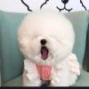 http://thirdqq.qlogo.cn/qqapp/101260148/655DFDC047EFE6B4DF78D98529C11B33/100