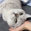http://thirdqq.qlogo.cn/qqapp/101260148/7D8EDF070866E297F42B62E482661BE0/100