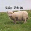 http://thirdqq.qlogo.cn/qqapp/101260148/8B8731D1D8C8A4F418B45D2FD92B48C7/100