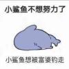 http://thirdqq.qlogo.cn/qqapp/101260148/CA405A7F041CA8C346960FC632C597E4/100