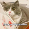 http://thirdqq.qlogo.cn/qqapp/101260148/EF892D324A468E5CC497AFA15142E30C/100