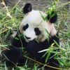 http://thirdqq.qlogo.cn/qqapp/101260148/F2FD7700996A2A06423C086069239179/100