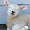 http://thirdqq.qlogo.cn/qqapp/101260148/FEAC6639C9D95284673C4ADEC1D068C3/100