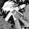 文东yingshi