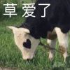 别回头，我做不到