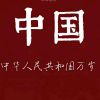 小海豚_35202206