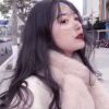 小海豚_60841921