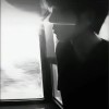 小海豚_60932883