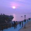 小海豚_47032207