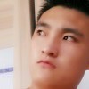 小海豚_23150120