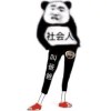 小海豚_47247505