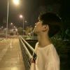 小海豚_53579960