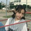 小海豚_66088688