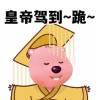 小海豚_64676226