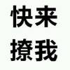 小海豚_65818912