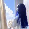 小海豚_66601229