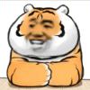 小海豚_27877885