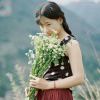 小海豚_48695047