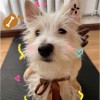 贱老二