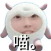 叶辰雪儿