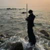 小海豚_47995565