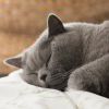 /QQ:bb7b8f015875c45c81f1ec0c04
