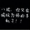 小海豚_57997906