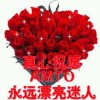 小海豚_50271692