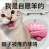 最是橙黄橘绿时