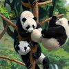 青春一去沧桑笑。