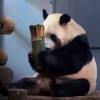追梦的我