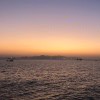 小海豚_64453469