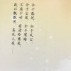 小海豚_57346789