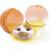 猪的个人空间