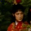 叔宝盖