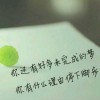 shield 文
