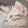 ̾@