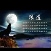 繁华落尽う散一地浮殇