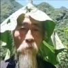 猴子的头像