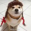 用户头像