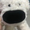 wksksk的头像-【TITAIKE】T太科网