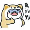 zhoucheng05的头像-【TITAIKE】T太科网