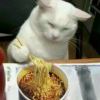 1不小心爱上