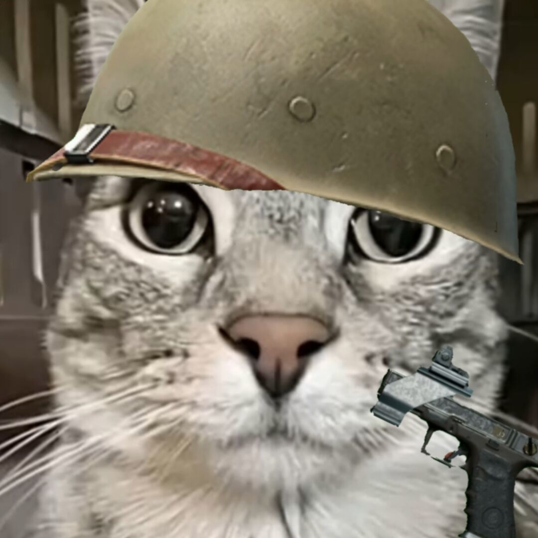 黑猫