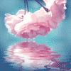 流月_787