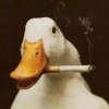 qaz12376的头像-魔酷网